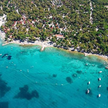 Ehha Home Biograd na Moru Kültér fotó
